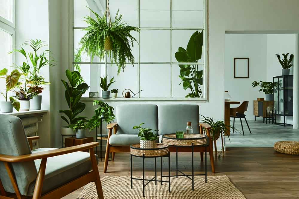 Heritage Essentials Collection